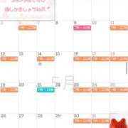 ヒメ日記 2025/04/21 22:04 投稿 高山 ANECOTE