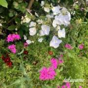 ヒメ日記 2025/04/23 19:01 投稿 高山 ANECOTE