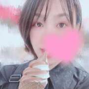 ヒメ日記 2025/04/25 06:57 投稿 高山 ANECOTE