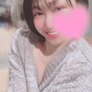 ヒメ日記 2025/04/26 06:45 投稿 高山 ANECOTE