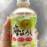 ヒメ日記 2025/05/09 19:03 投稿 高山 ANECOTE