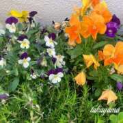 ヒメ日記 2025/05/12 22:33 投稿 高山 ANECOTE