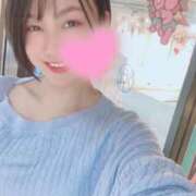 ヒメ日記 2025/05/21 06:45 投稿 高山 ANECOTE