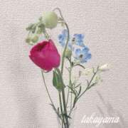 ヒメ日記 2025/05/24 22:31 投稿 高山 ANECOTE