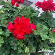 ヒメ日記 2025/05/30 22:01 投稿 高山 ANECOTE