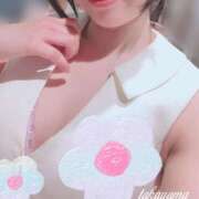 ヒメ日記 2025/06/06 06:45 投稿 高山 ANECOTE