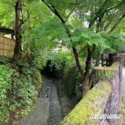 ヒメ日記 2025/06/10 14:01 投稿 高山 ANECOTE