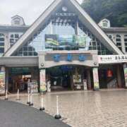 ヒメ日記 2025/06/10 22:32 投稿 高山 ANECOTE