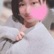 ヒメ日記 2025/06/11 14:30 投稿 高山 ANECOTE