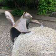 ヒメ日記 2025/06/11 23:45 投稿 高山 ANECOTE