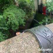 ヒメ日記 2025/06/13 22:01 投稿 高山 ANECOTE