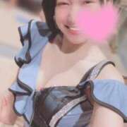 ヒメ日記 2025/06/15 06:45 投稿 高山 ANECOTE