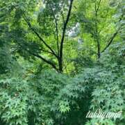 ヒメ日記 2025/06/15 22:15 投稿 高山 ANECOTE