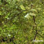 ヒメ日記 2025/06/19 06:00 投稿 高山 ANECOTE