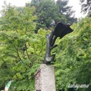 ヒメ日記 2025/07/02 23:30 投稿 高山 ANECOTE