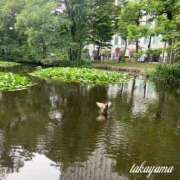 ヒメ日記 2025/08/08 21:31 投稿 高山 ANECOTE