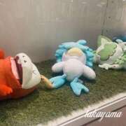 ヒメ日記 2025/08/15 22:15 投稿 高山 ANECOTE