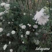 ヒメ日記 2025/08/16 22:01 投稿 高山 ANECOTE