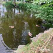 ヒメ日記 2025/08/27 22:43 投稿 高山 ANECOTE