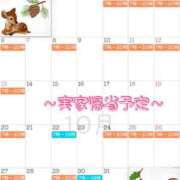 ヒメ日記 2025/09/21 21:30 投稿 高山 ANECOTE