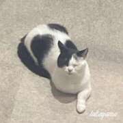 ヒメ日記 2025/09/26 21:32 投稿 高山 ANECOTE