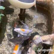 ヒメ日記 2025/10/13 21:31 投稿 高山 ANECOTE