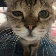 ヒメ日記 2025/10/18 12:22 投稿 高山 ANECOTE