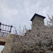 ヒメ日記 2025/10/22 06:57 投稿 高山 ANECOTE