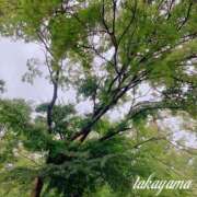 ヒメ日記 2025/10/23 19:02 投稿 高山 ANECOTE