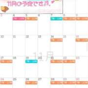 ヒメ日記 2025/10/26 06:45 投稿 高山 ANECOTE