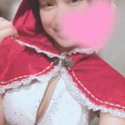 ヒメ日記 2025/11/09 06:45 投稿 高山 ANECOTE