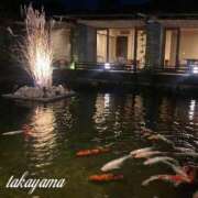 ヒメ日記 2025/11/17 21:31 投稿 高山 ANECOTE