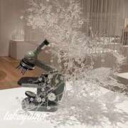 ヒメ日記 2025/12/06 22:53 投稿 高山 ANECOTE