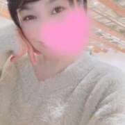 ヒメ日記 2025/12/07 06:45 投稿 高山 ANECOTE