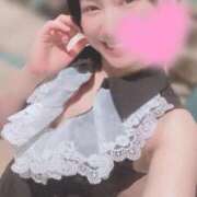 ヒメ日記 2026/01/20 06:45 投稿 高山 ANECOTE