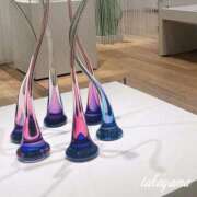 ヒメ日記 2026/01/25 16:01 投稿 高山 ANECOTE