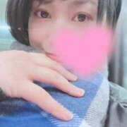 ヒメ日記 2026/01/30 11:45 投稿 高山 ANECOTE