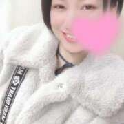 ヒメ日記 2026/01/31 06:45 投稿 高山 ANECOTE