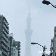 ヒメ日記 2026/02/11 21:31 投稿 高山 ANECOTE