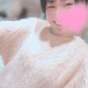 ヒメ日記 2026/02/19 06:45 投稿 高山 ANECOTE