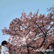 ヒメ日記 2026/02/24 21:30 投稿 高山 ANECOTE