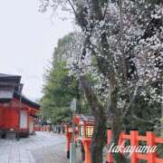 ヒメ日記 2026/02/28 22:02 投稿 高山 ANECOTE