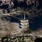 ヒメ日記 2026/03/11 21:32 投稿 高山 ANECOTE