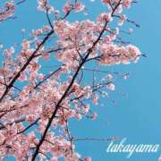 ヒメ日記 2026/03/13 22:02 投稿 高山 ANECOTE