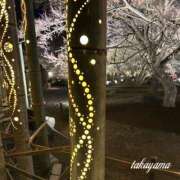 ヒメ日記 2026/03/14 21:41 投稿 高山 ANECOTE