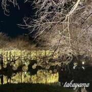 ヒメ日記 2026/03/18 18:02 投稿 高山 ANECOTE