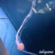 ヒメ日記 2026/03/21 22:02 投稿 高山 ANECOTE