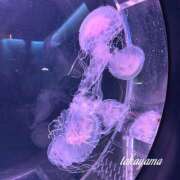 ヒメ日記 2026/03/24 21:32 投稿 高山 ANECOTE