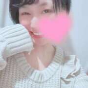 ヒメ日記 2026/03/27 06:45 投稿 高山 ANECOTE