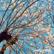 ヒメ日記 2026/03/27 22:03 投稿 高山 ANECOTE